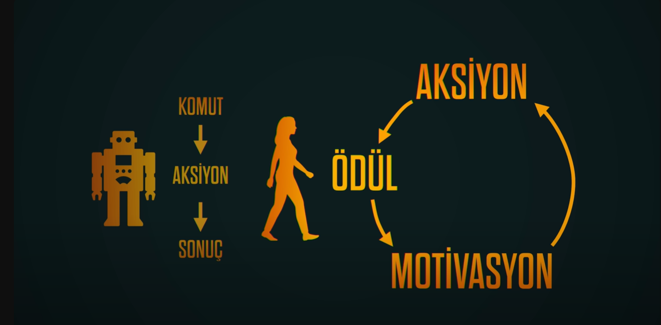 ekran görüntüsü 2024 10 16 221432