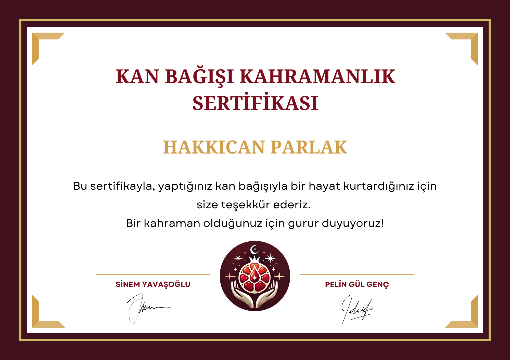hakkıcan parlak 1